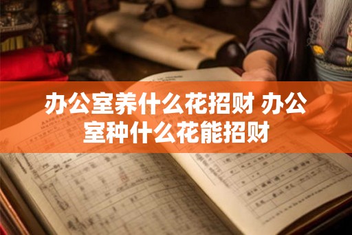 办公室养什么花招财 办公室种什么花能招财 办公室养什么花招财 办公室种什么花能招财