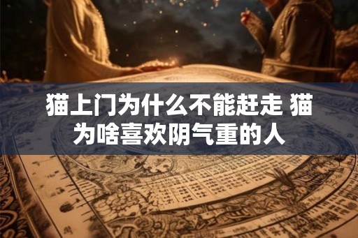 猫上门为什么不能赶走 猫为啥喜欢阴气重的人 猫上门为什么不能赶走 猫为啥喜欢阴气重的人