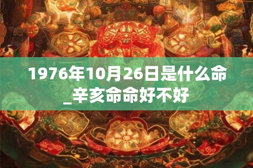 1976年10月26日是什么命_辛亥命命好不好