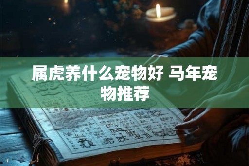 属虎养什么宠物好 马年宠物推荐