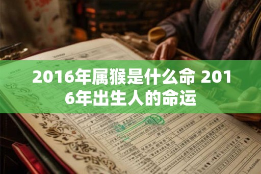 2016年属猴是什么命 2016年出生人的命运