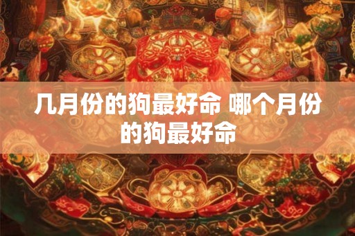 几月份的狗最好命 哪个月份的狗最好命