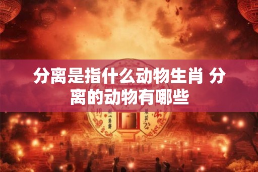 分离是指什么动物生肖 分离的动物有哪些