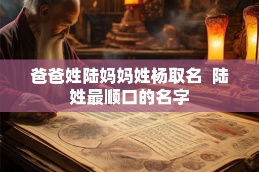 爸爸姓陆妈妈姓杨取名  陆姓最顺口的名字