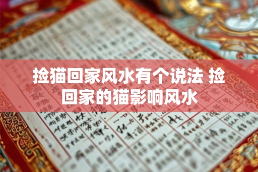 捡猫回家风水有个说法 捡回家的猫影响风水