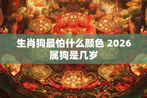 生肖狗最怕什么颜色 2026属狗是几岁