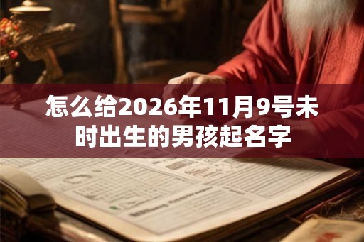 怎么给2026年11月9号未时出生的男孩起名字