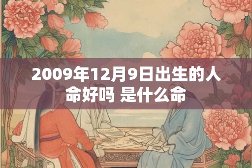 2009年12月9日出生的人命好吗 是什么命