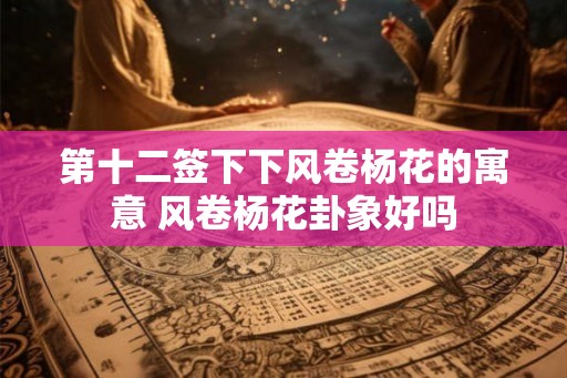 第十二签下下风卷杨花的寓意 风卷杨花卦象好吗
