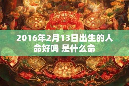 2016年2月13日出生的人命好吗 是什么命