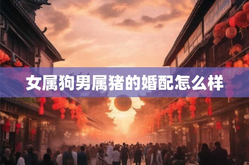 女属狗男属猪的婚配怎么样