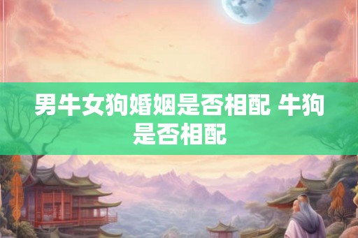 男牛女狗婚姻是否相配 牛狗是否相配