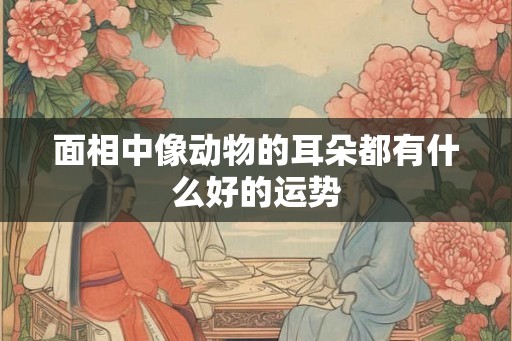 面相中像动物的耳朵都有什么好的运势