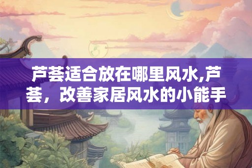 芦荟适合放在哪里风水,芦荟,改善家居风水的小能手 芦荟适合放在哪里风水,芦荟,改善家居风水的小能手