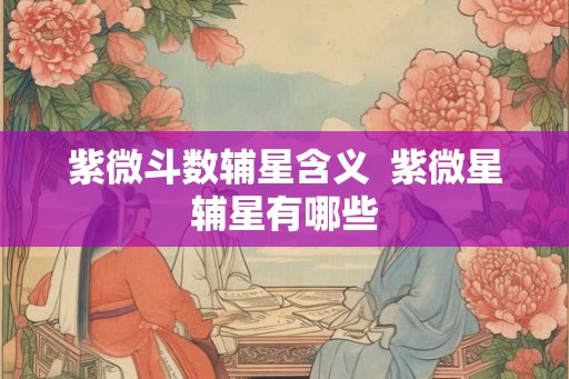 紫微斗数辅星含义  紫微星辅星有哪些
