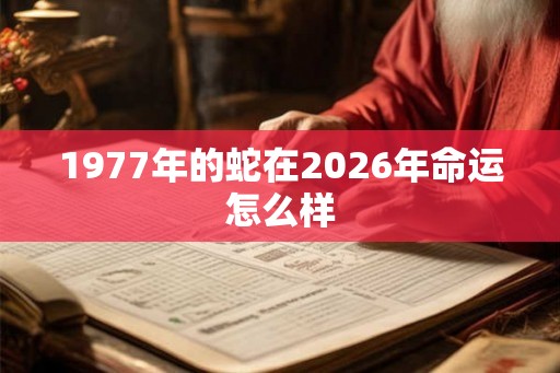 1977年的蛇在2026年命运怎么样