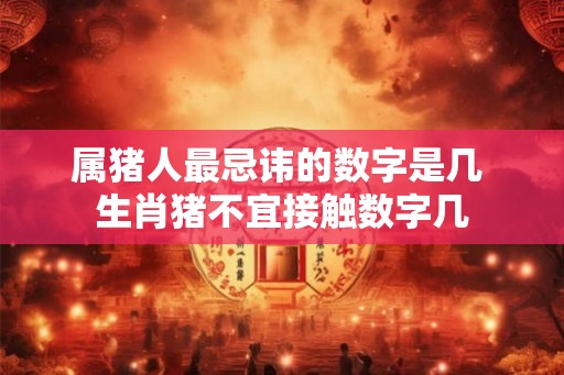 属猪人最忌讳的数字是几 生肖猪不宜接触数字几