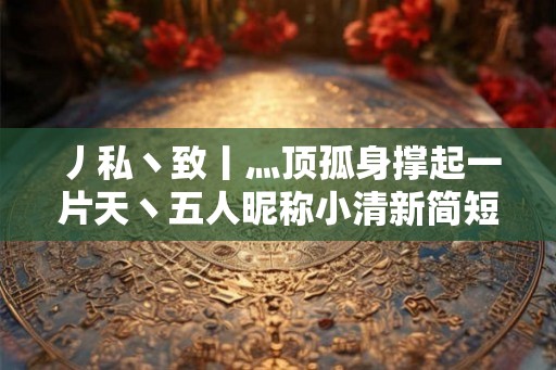 丿私丶致丨灬顶孤身撑起一片天丶五人昵称小清新简短