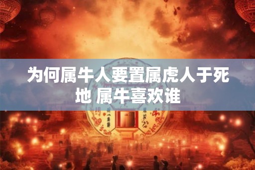 为何属牛人要置属虎人于死地 属牛喜欢谁