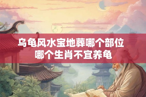 乌龟风水宝地葬哪个部位  哪个生肖不宜养龟