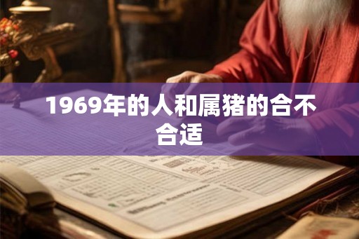 1969年的人和属猪的合不合适