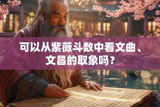 可以从紫薇斗数中看文曲、文昌的取象吗? 可以从紫薇斗数中看文曲、文昌的取象吗?