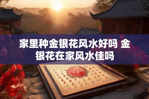 家里种金银花风水好吗 金银花在家风水佳吗 家里种金银花风水好吗 金银花在家风水佳吗