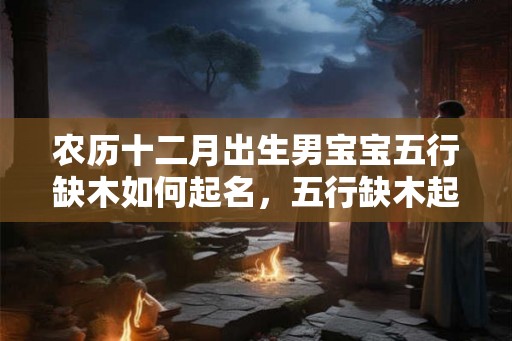 农历十二月出生男宝宝五行缺木如何起名,五行缺木起名 农历十二月出生男宝宝五行缺木如何起名,五行缺木起名