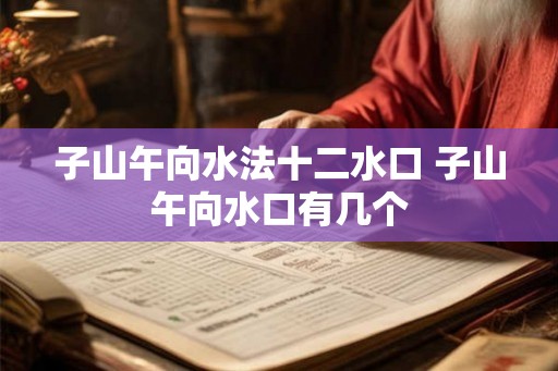 子山午向水法十二水口 子山午向水口有几个