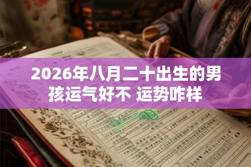 2026年八月二十出生的男孩运气好不 运势咋样