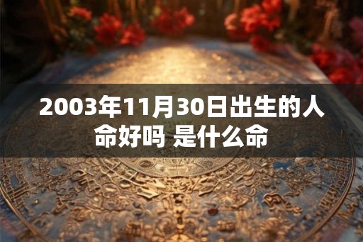 2003年11月30日出生的人命好吗 是什么命