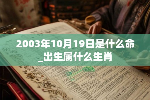 2003年10月19日是什么命_出生属什么生肖