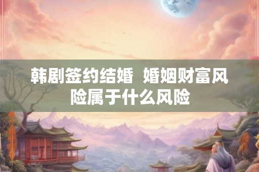 韩剧签约结婚  婚姻财富风险属于什么风险