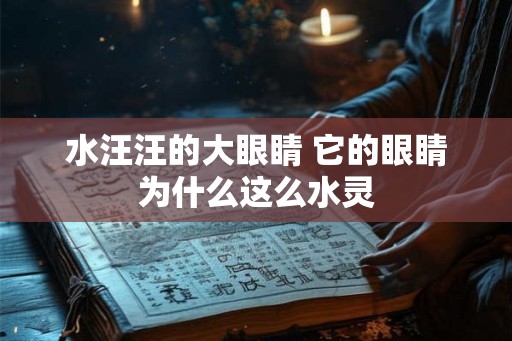 水汪汪的大眼睛 它的眼睛为什么这么水灵 水汪汪的大眼睛 它的眼睛为什么这么水灵