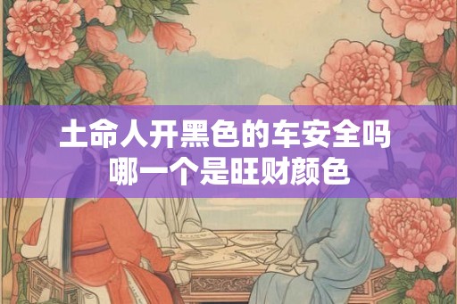 土命人开黑色的车安全吗 哪一个是旺财颜色