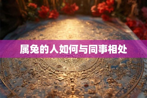 属兔的人如何与同事相处
