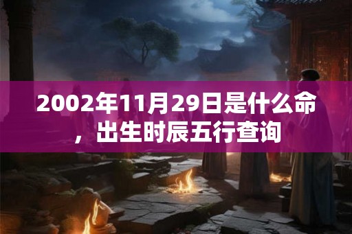 2002年11月29日是什么命，出生时辰五行查询