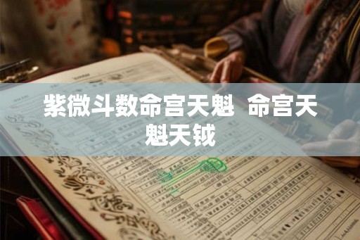 紫微斗数命宫天魁  命宫天魁天钺