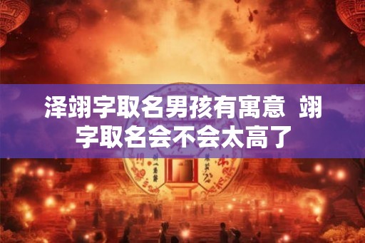 泽翊字取名男孩有寓意  翊字取名会不会太高了