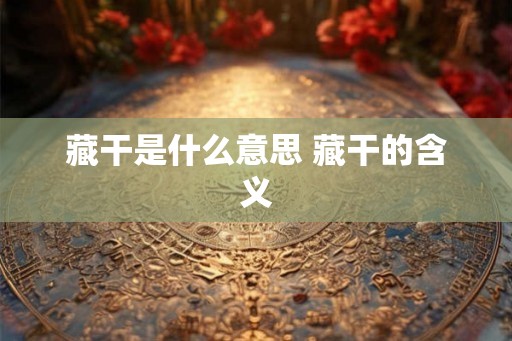 藏干是什么意思 藏干的含义