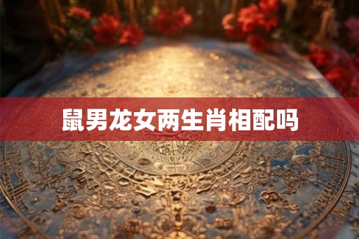 鼠男龙女两生肖相配吗