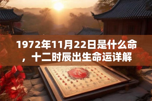 1972年11月22日是什么命，十二时辰出生命运详解