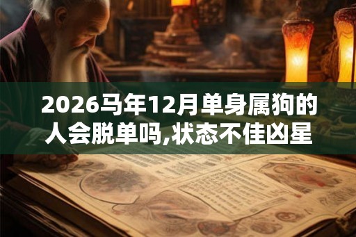 2026马年12月单身属狗的人会脱单吗,状态不佳凶星绞煞