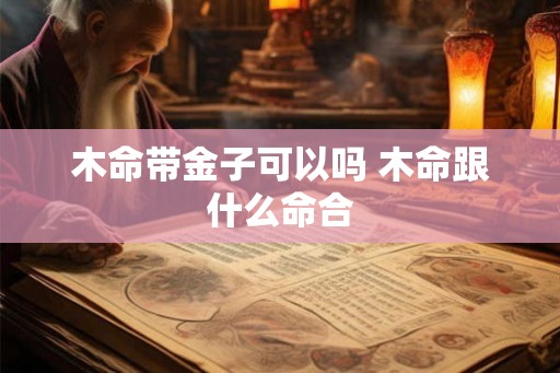 木命带金子可以吗 木命跟什么命合