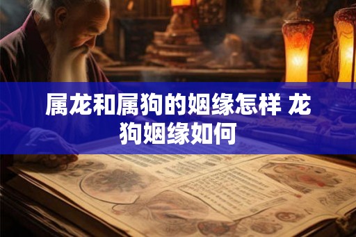 属龙和属狗的姻缘怎样 龙狗姻缘如何 属龙和属狗的姻缘怎样 龙狗姻缘如何