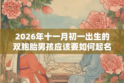2026年十一月初一出生的双胞胎男孩应该要如何起名字，五行属什么
