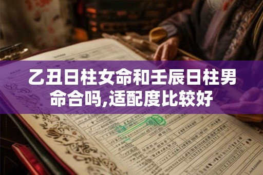 乙丑日柱女命和壬辰日柱男命合吗,适配度比较好