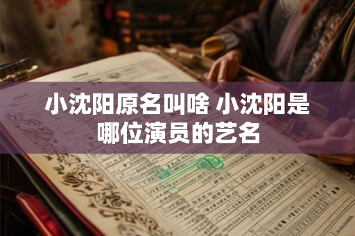 小沈阳原名叫啥 小沈阳是哪位演员的艺名 小沈阳原名叫啥 小沈阳是哪位演员的艺名