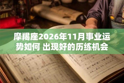 摩羯座2026年11月事业运势如何 出现好的历练机会
