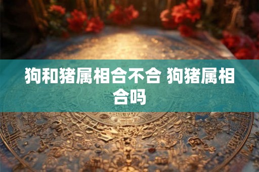 狗和猪属相合不合 狗猪属相合吗
